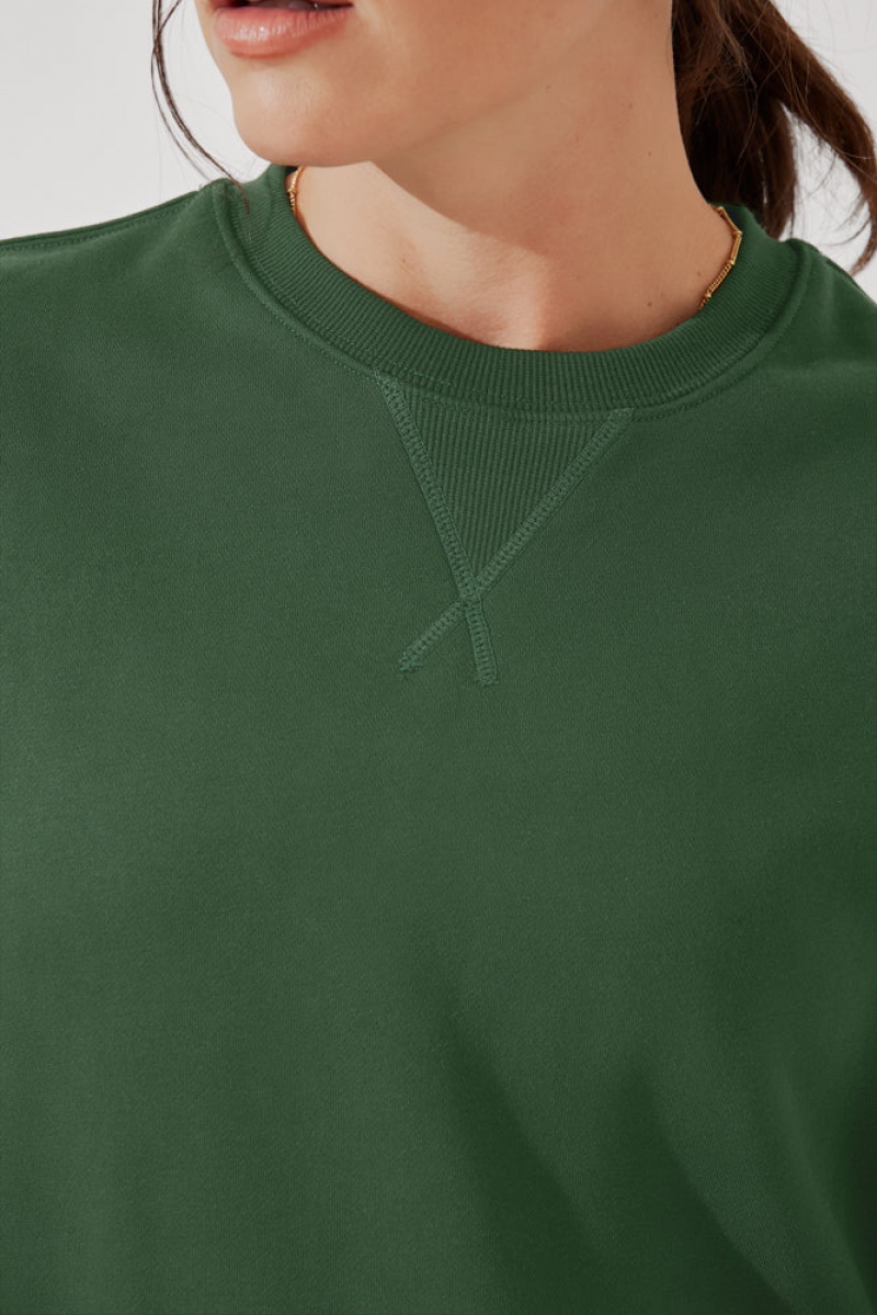 POPFLEX Cloud Crewneck Sweater Fern Green | 073-UTKPXF